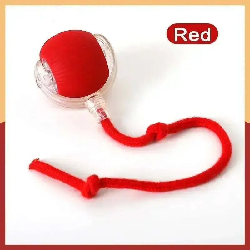 Smart Interactive Ball — Auto-Rolling LED Toy for Dogs