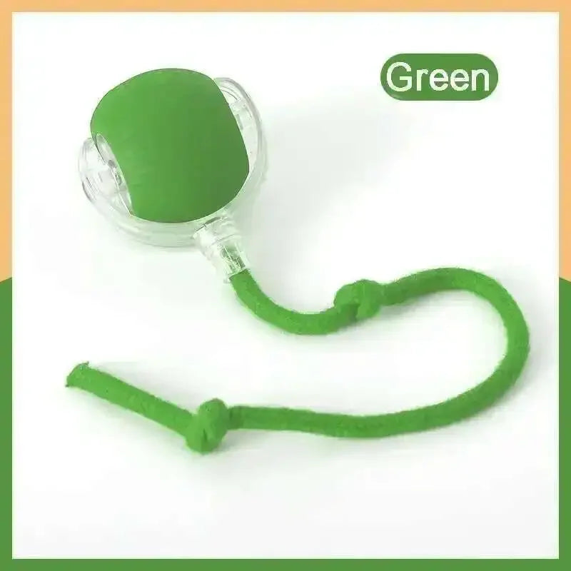 Smart Interactive Ball — Auto-Rolling LED Toy for Dogs